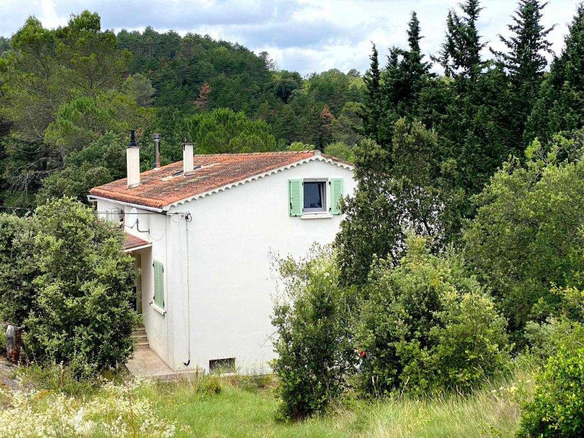 Gite With Private Jacuzzi, Shiatsu & Healthy Food Ladern-sur-Lauquet Eksteriør billede