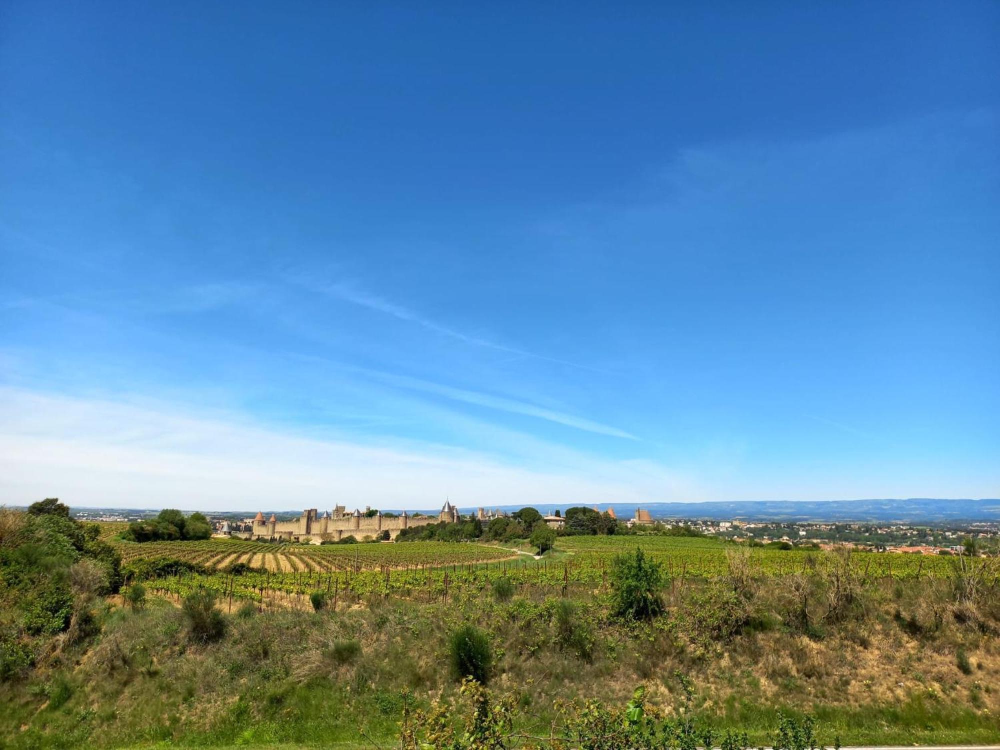 Gite With Private Jacuzzi, Shiatsu & Healthy Food Ladern-sur-Lauquet Eksteriør billede