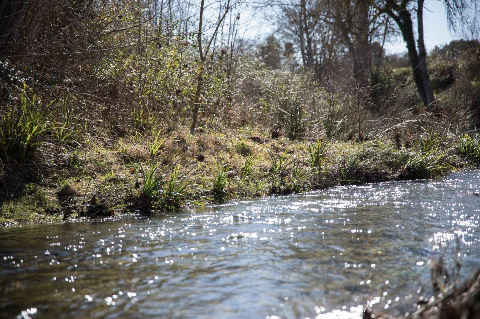 Gite With Private Jacuzzi, Shiatsu & Healthy Food Ladern-sur-Lauquet Eksteriør billede